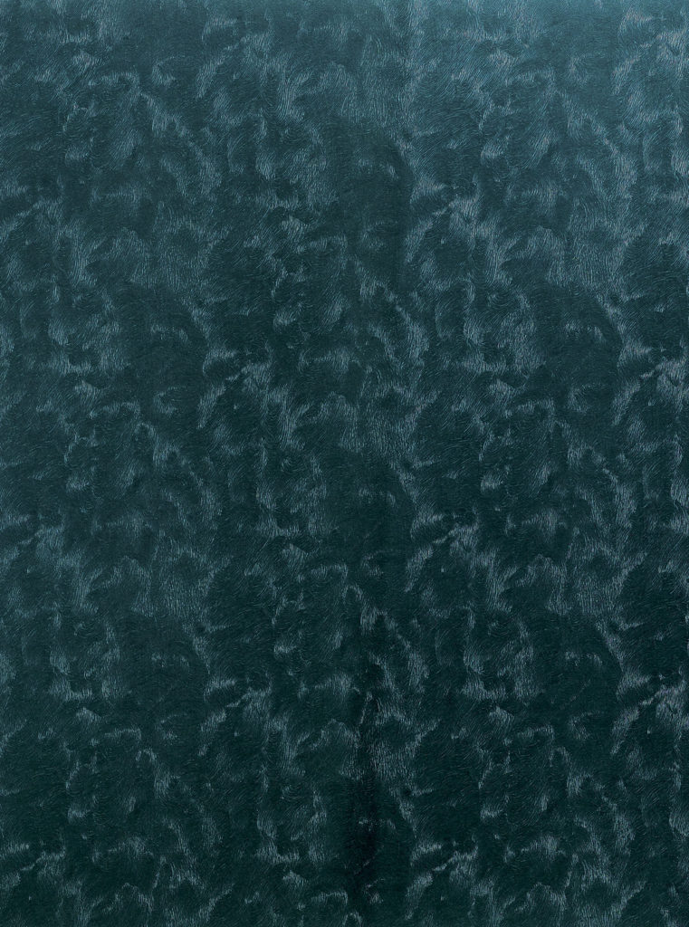 Astrakan-Pavone-(45x60ca)